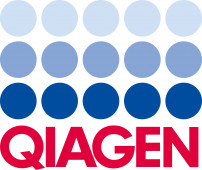 QLogo Primary RGB