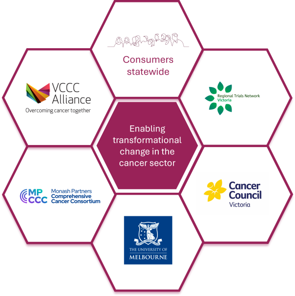 Cancer consumer led research program Schematic infographic v2